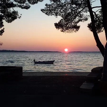 Apartman Saska Barbariga